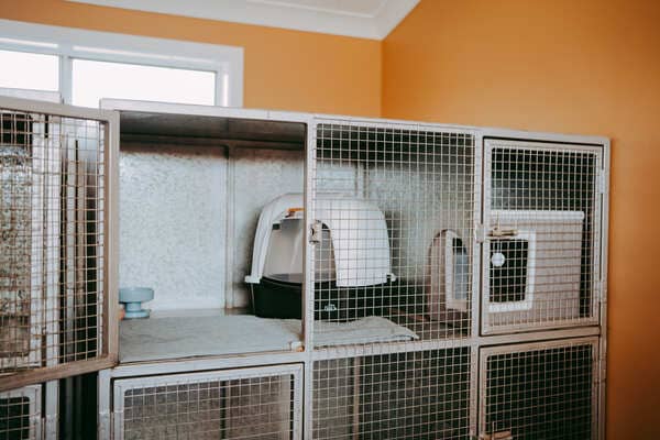 Pet owner and animal care professional at Gunnedah Boarding Kennel in Gunnedah NSW